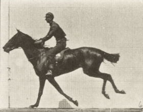 Plate 631 'Bouquet' galloping, saddled — figure reference